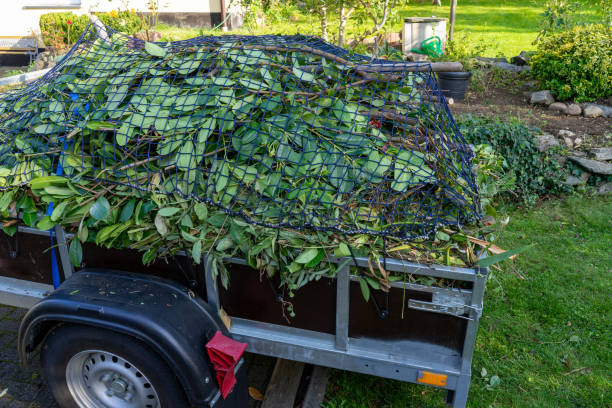 Best Estate Cleanout  in Unicoi, TN